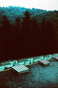 vignette_33