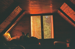 vignette_39